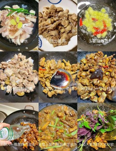 紫苏焖鸭怎么做_广东紫苏焖鸭最正宗做法