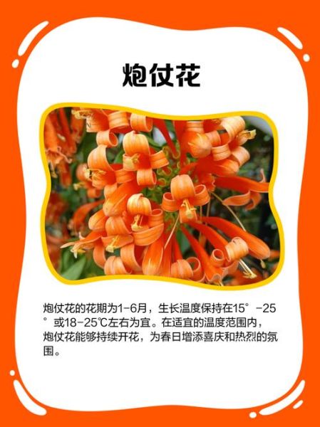 橙红色怎么调出来_橙红色配色技巧