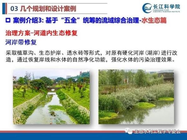 河道治理方法有哪些_河流生态修复技术