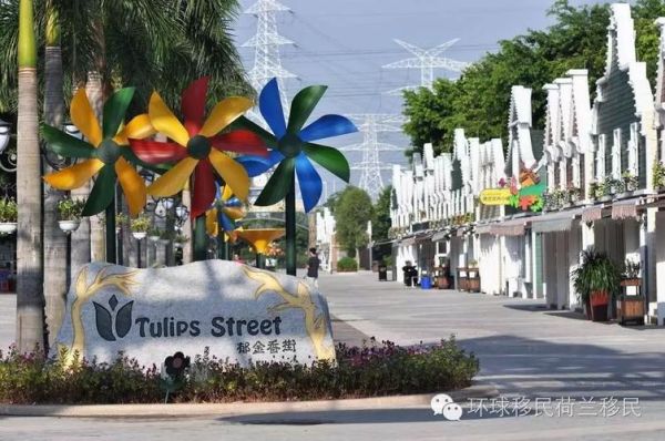 荷兰创业移民条件_荷兰创业移民流程