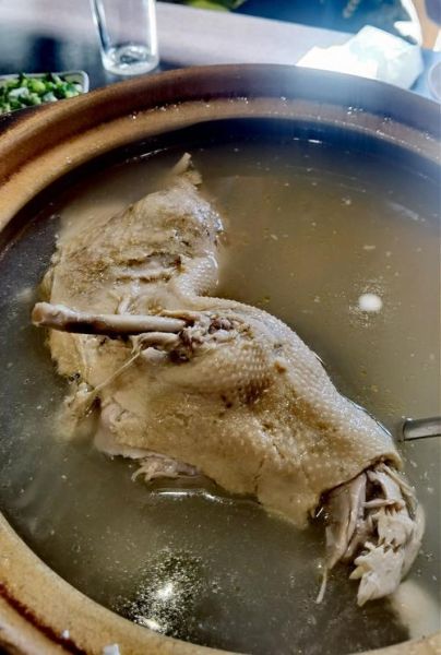 老鸭汤怎么炖好喝_老鸭汤的做法步骤