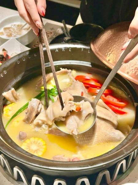 老鸭汤怎么炖好喝_老鸭汤的做法步骤