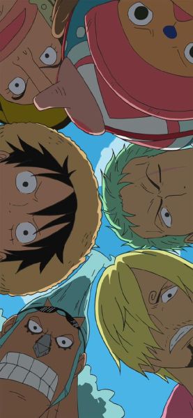 海贼王手机壁纸哪里找_如何设置高清