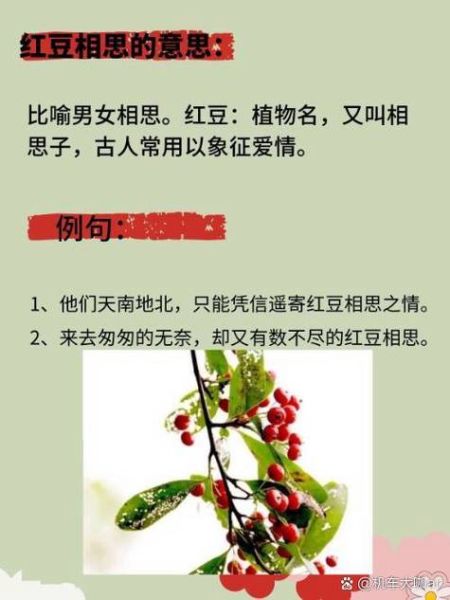 红豆相思的寓意是什么_红豆相思的典故有哪些