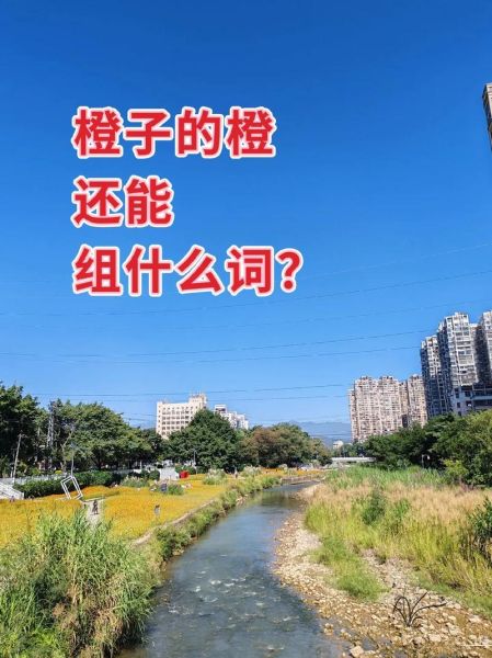 橙子有哪些词语_橙子有哪些词语可以形容