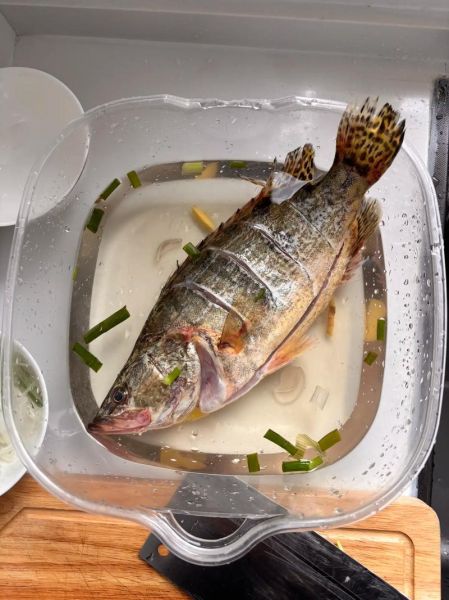 鳜鱼怎么清蒸好吃_鳜鱼的家常做法步骤