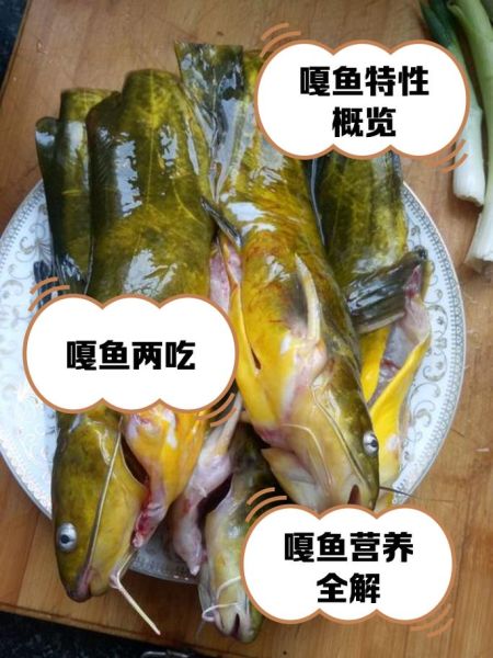 嘎牙鱼怎么做好吃_嘎牙鱼的家常做法