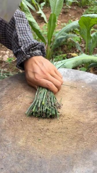 葱花怎么切_葱花怎么保存