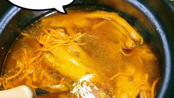 老鸭汤怎么炖好喝_老鸭汤家常做法