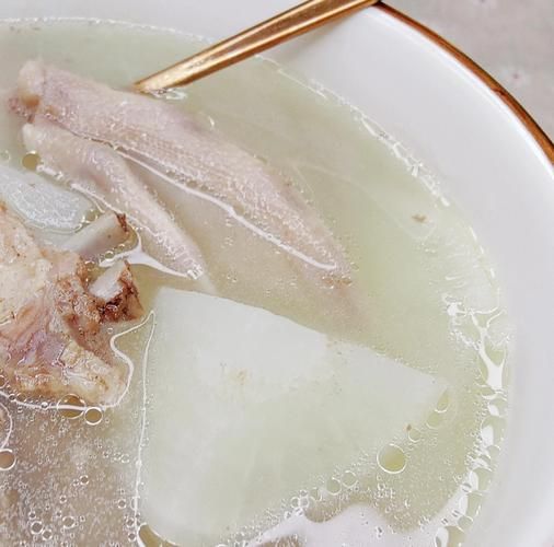 老鸭汤怎么炖好喝_老鸭汤家常做法