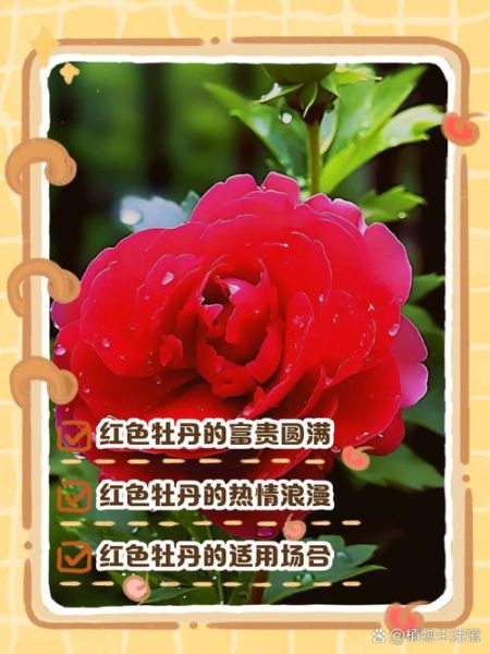 红色代表什么_红色象征意义有哪些