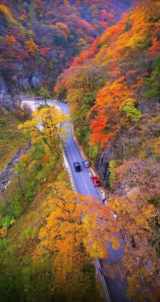 秋季旅游景点推荐_秋天适合去哪里玩