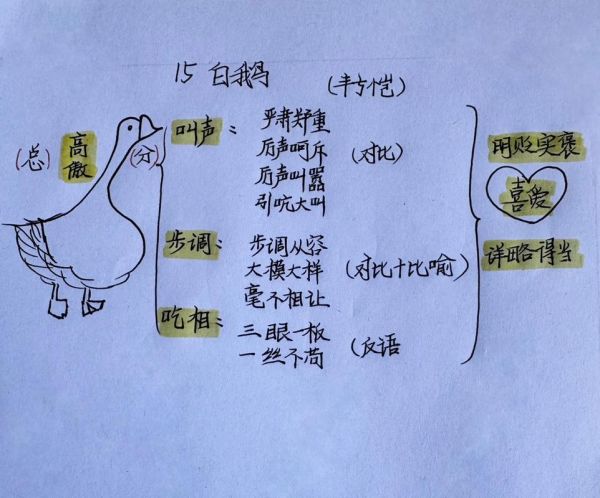 鹅白词语是什么_鹅白词语怎么用