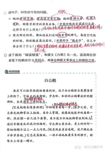 鹅白词语是什么_鹅白词语怎么用