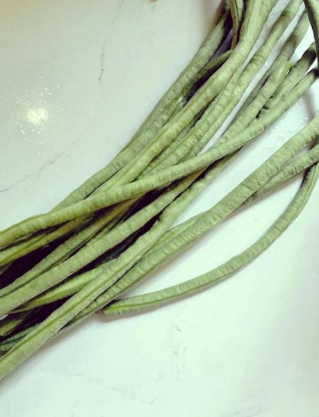 苏子叶咸菜怎么做_腌制多久能入味