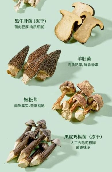 山珍有哪些种类_如何挑选正宗野生山珍