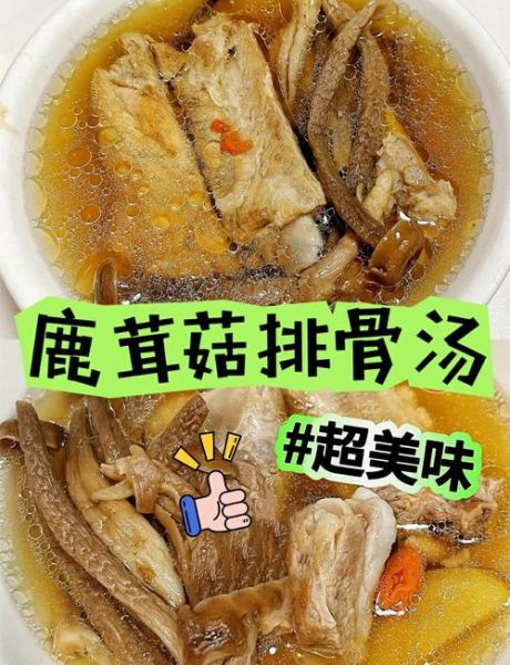 排骨菌菇汤怎么炖好喝_排骨菌菇汤做法窍门