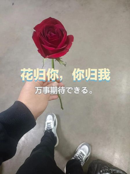 什么是心中柔情_如何表达心中柔情