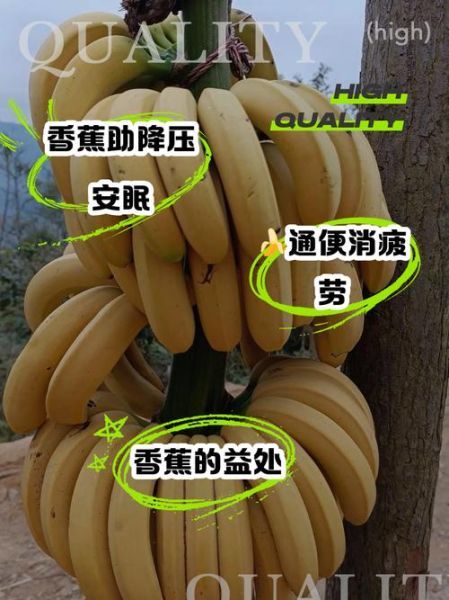 香蕉怎么保存不会变黑_香蕉的功效与作用
