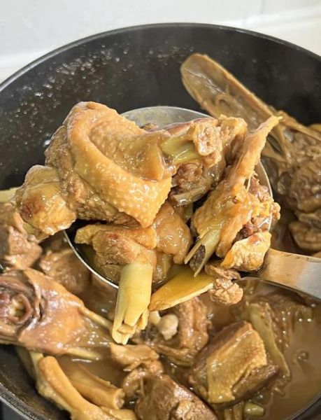 红烧鸭子怎么做_家常红烧鸭子的做法步骤