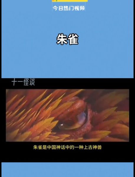 朱雀组词语有哪些_朱雀组词怎么造句