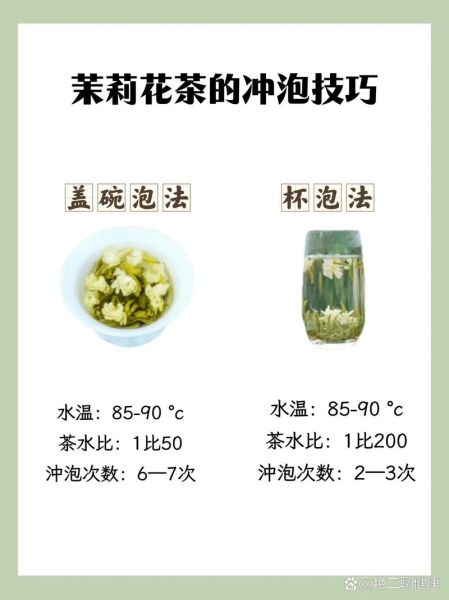 茉莉花的功效与作用_茉莉花茶怎么泡才香