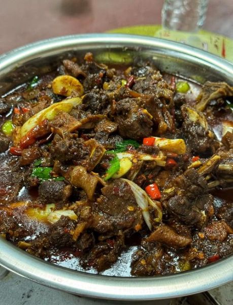 狗肉怎么炖才好吃_家常狗肉做法大全