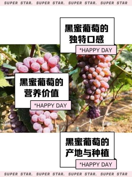 葡萄黑似的词语有哪些_如何仿写