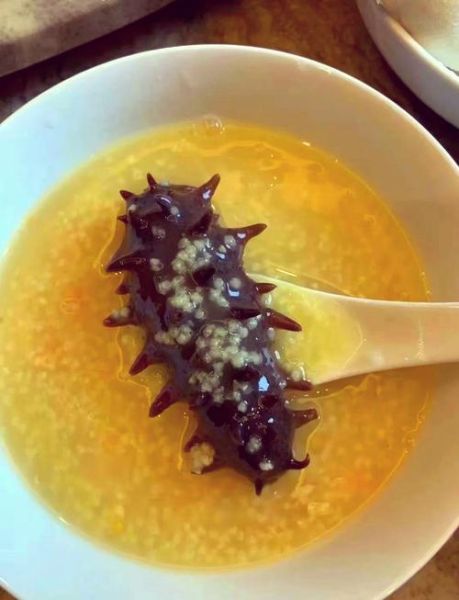 海参粥的家常做法_海参粥怎么做好吃又营养