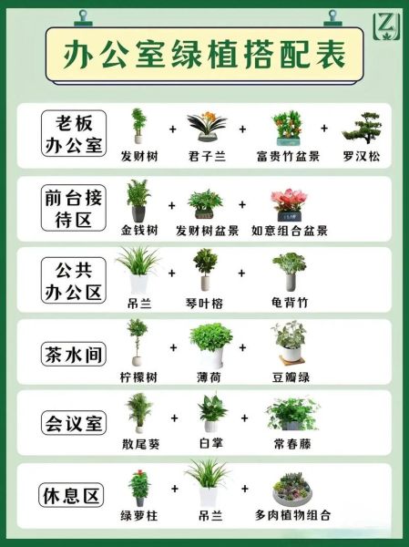 绿化植物有哪些_如何选择绿化植物