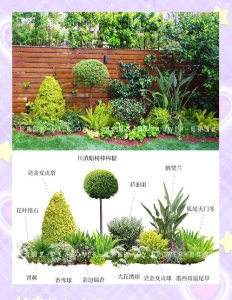 绿化植物有哪些_如何选择绿化植物