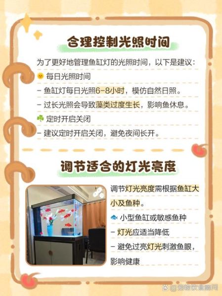 水中灯光怎么选_水下灯安装注意事项