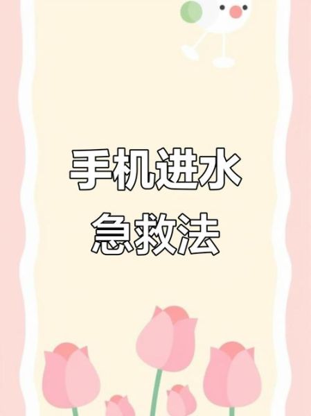 手机掉水里怎么处理_进水后多久能开机