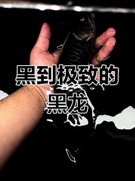 黑如墨是什么意思_黑如墨的寓意和象征