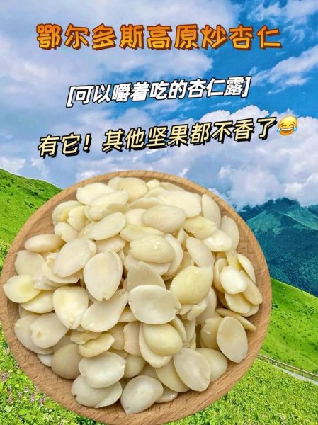 杏仁怎么做好吃_杏仁的做法大全