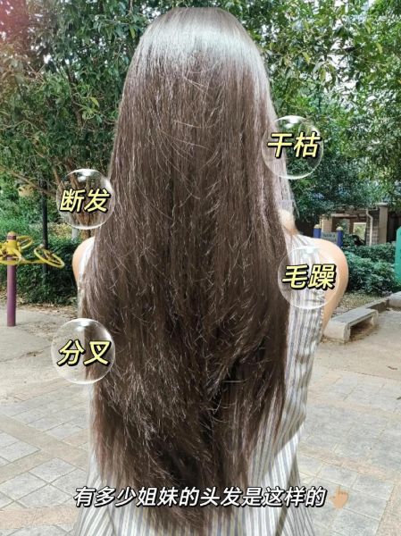 美女头发怎么保养_美女头发干枯毛躁怎么办