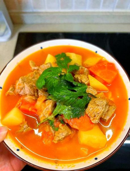 西红柿牛肉怎么做好吃_西红柿炖牛肉最正宗的做法