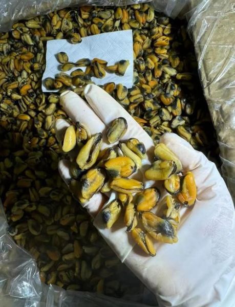 淡菜干怎么泡发_淡菜干的家常做法