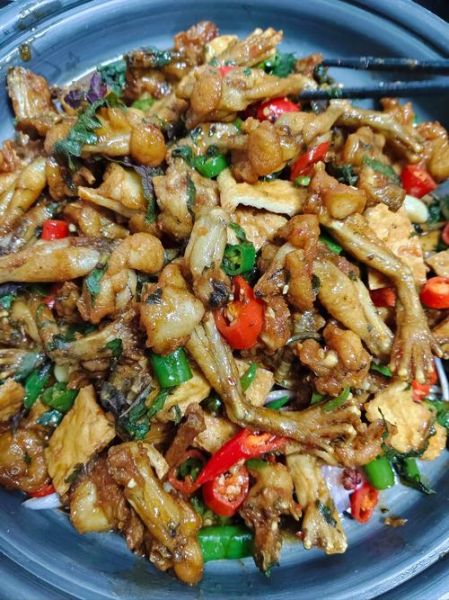 青蛙怎么做好吃_青蛙做法大全