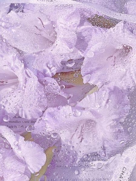 紫色手机壁纸哪里找_如何设置紫色手机壁纸