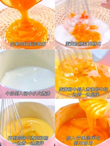 芒果冰淇淋怎么做_芒果冰淇淋的做法