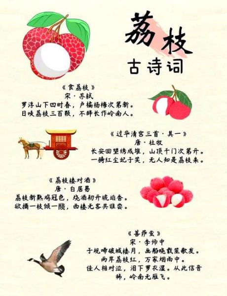 荔枝寓意词语有哪些_荔枝象征什么意义