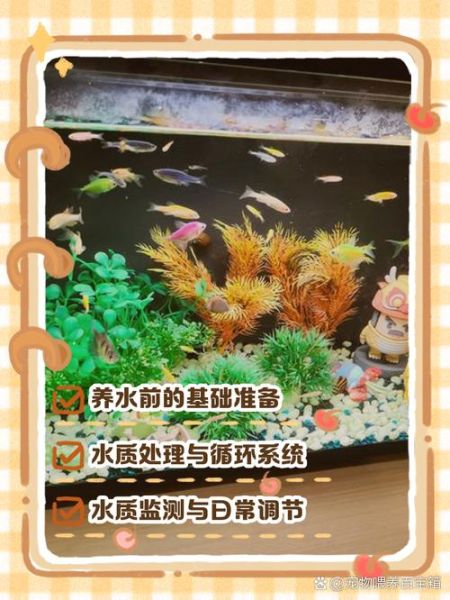 鱼怎么养才不死_鱼缸水质怎么调