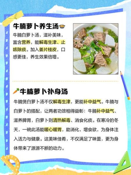 牛肉白萝卜汤怎么做_牛肉白萝卜汤的做法窍门