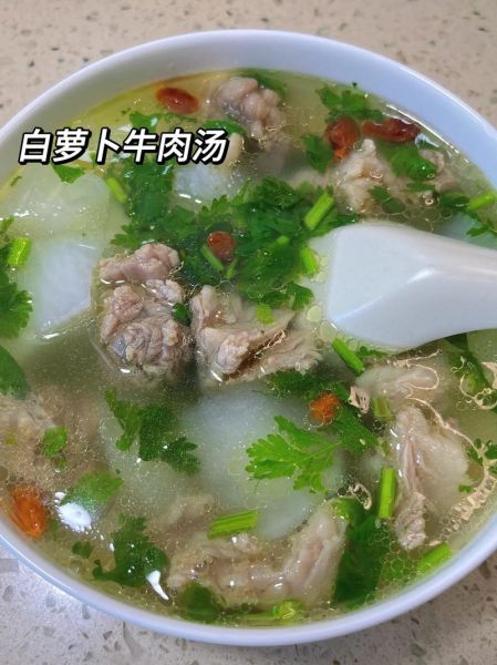 牛肉白萝卜汤怎么做_牛肉白萝卜汤的做法窍门