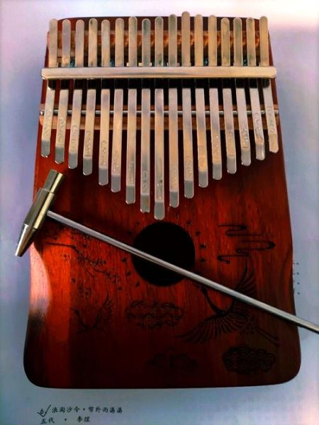 演琴是什么乐器_初学者如何选购演琴