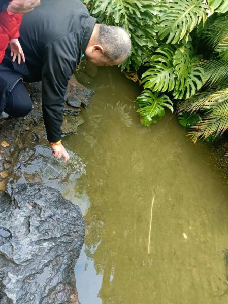 清澈见底的水是怎么形成的_如何保持水体长期清澈