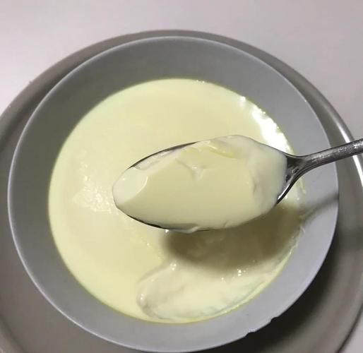 鸡蛋牛奶羹怎么做_蒸多久才嫩滑