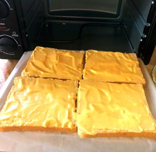 起司怎么保存_起司可以冷冻吗