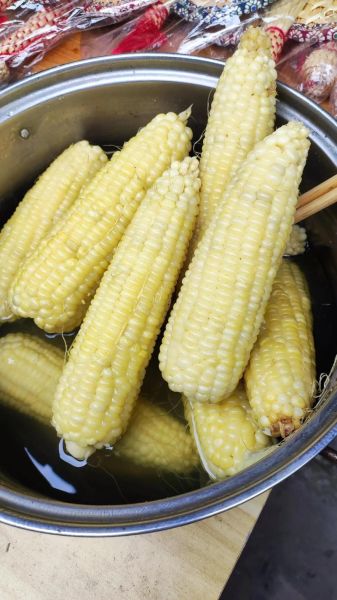 玉米怎么煮好吃_玉米的做法大全